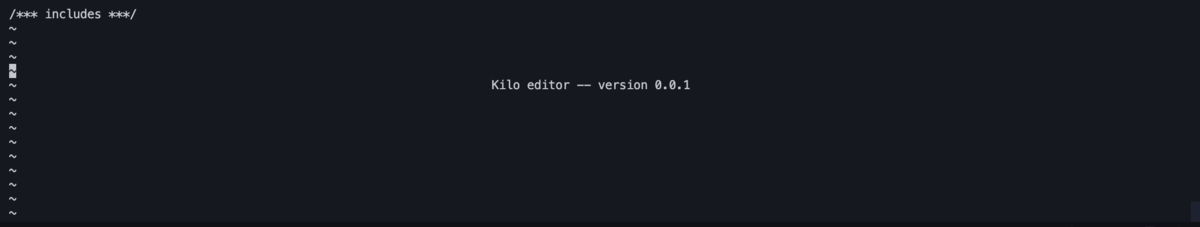 1行目に/*** includes ***/、他の行には~が表示されているkiloの実行画面