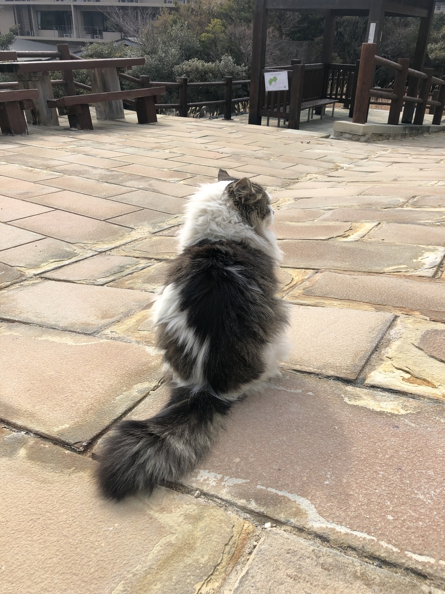 雲仙地獄