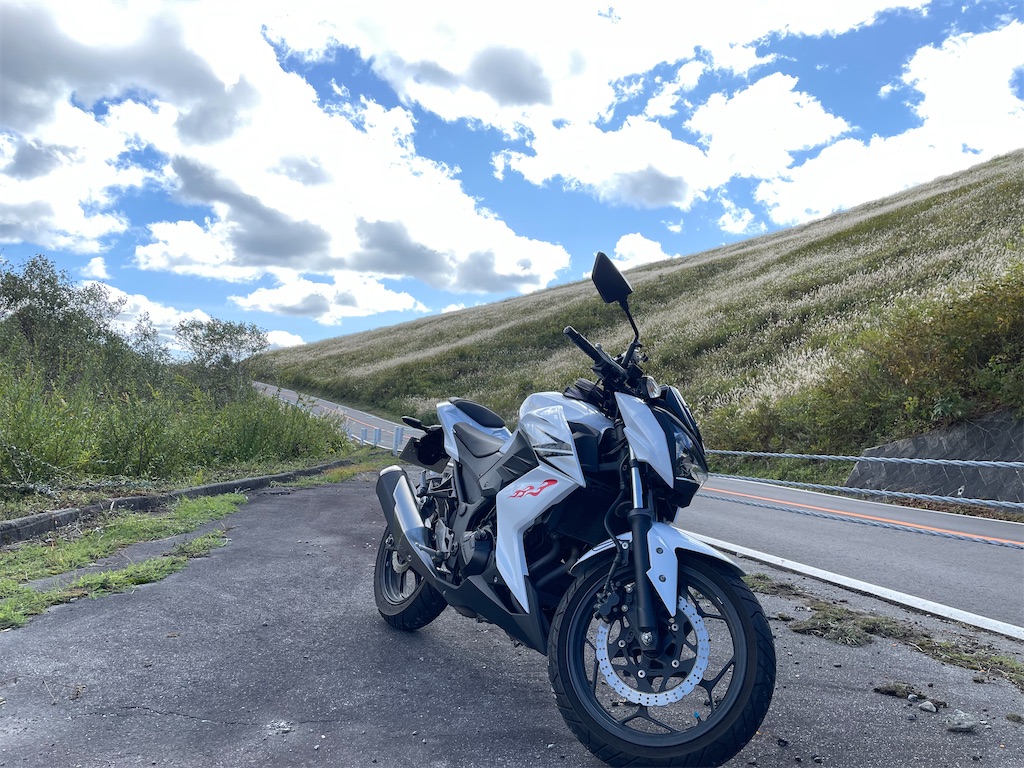 f:id:gurugurumagic:20240421100344j:image