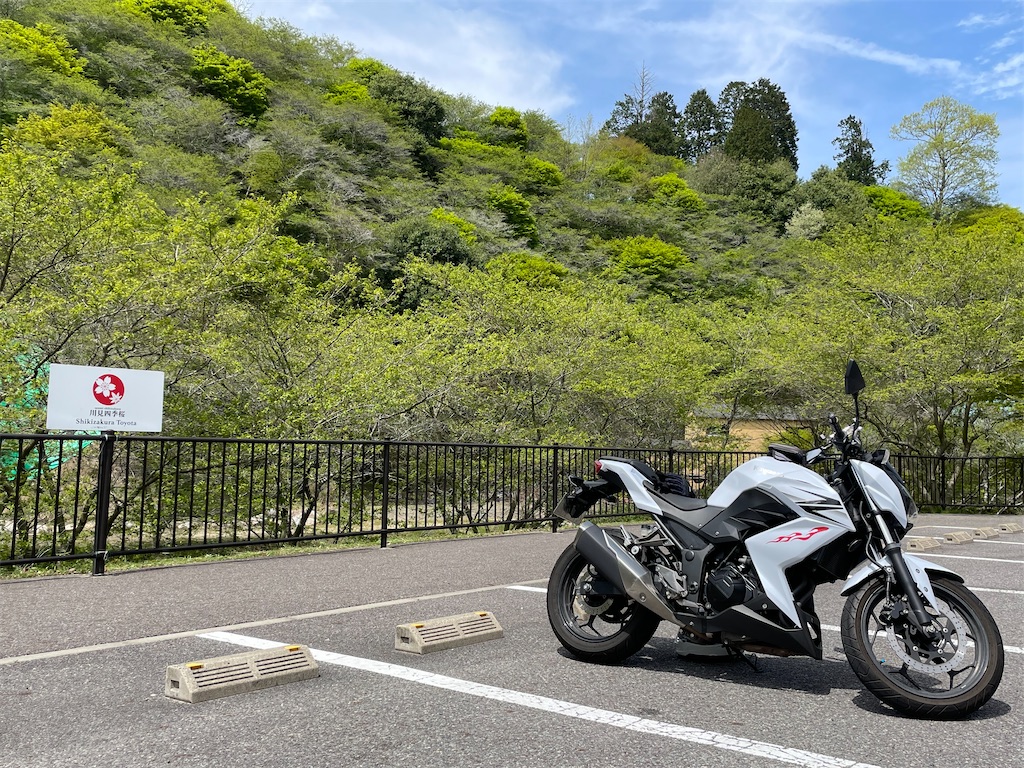 f:id:gurugurumagic:20240425124144j:image