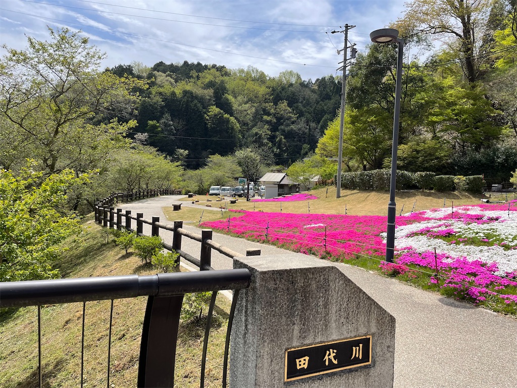 f:id:gurugurumagic:20240425124553j:image