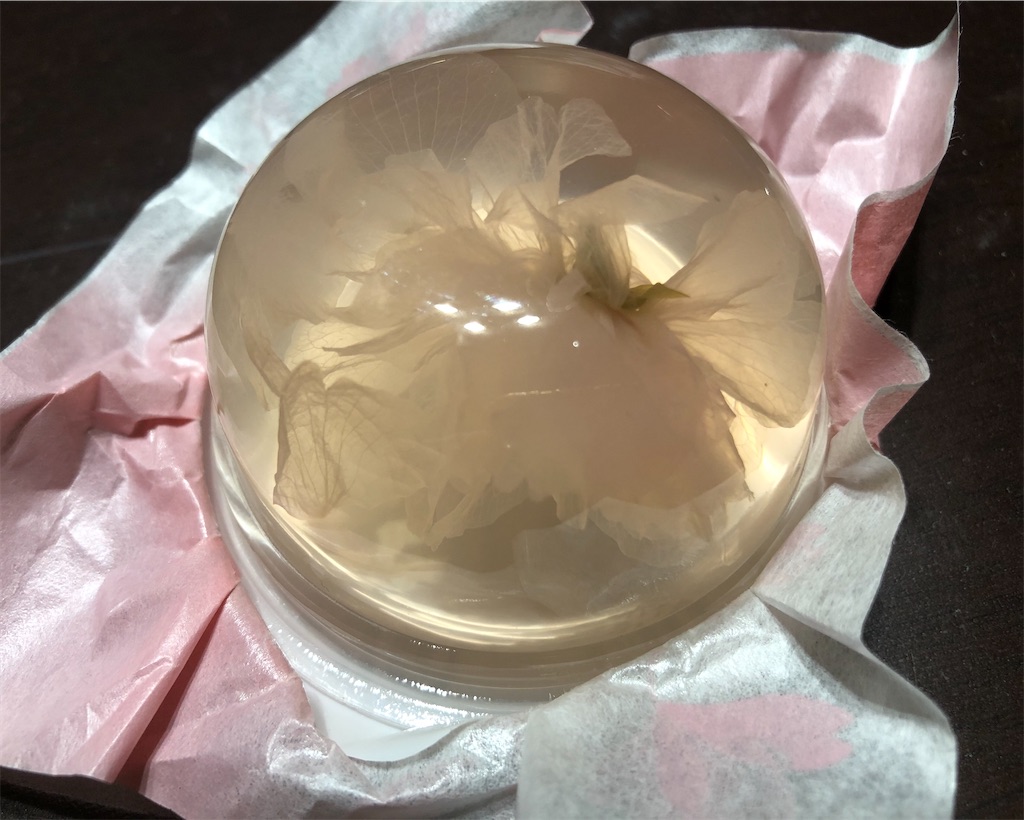 f:id:gurunaBB:20200523065010j:image f:id:gurunaBB:20200523065010j:image