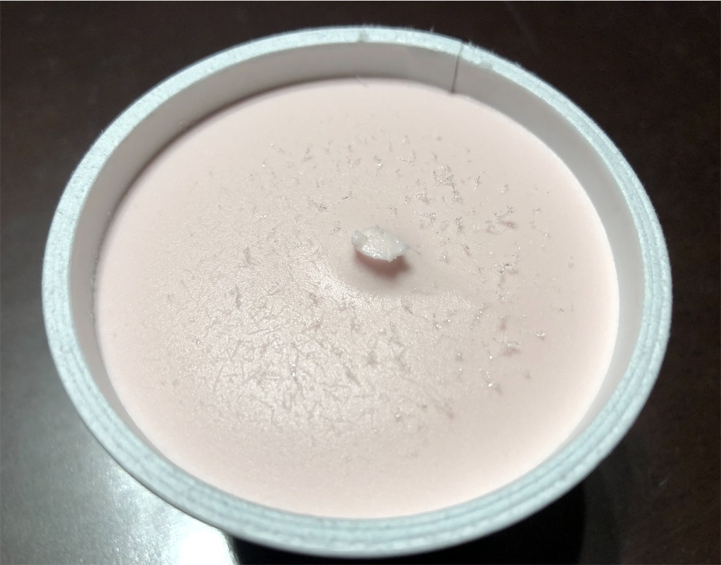 f:id:gurunaBB:20210302065144j:image