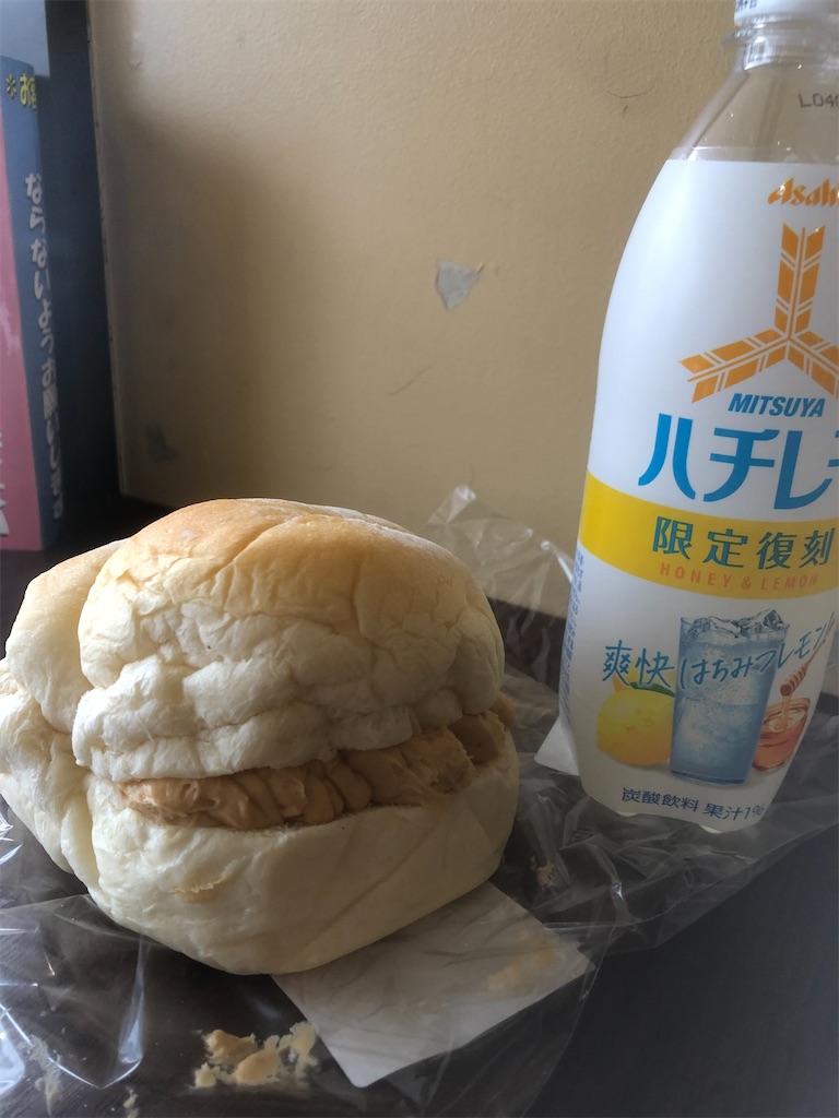 f:id:gurunaBB:20210609065747j:image