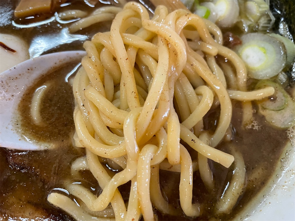 f:id:gurunaBB:20211223081257j:image