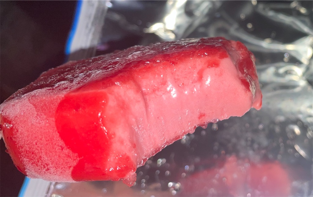 f:id:gurunaBB:20220415072730j:image