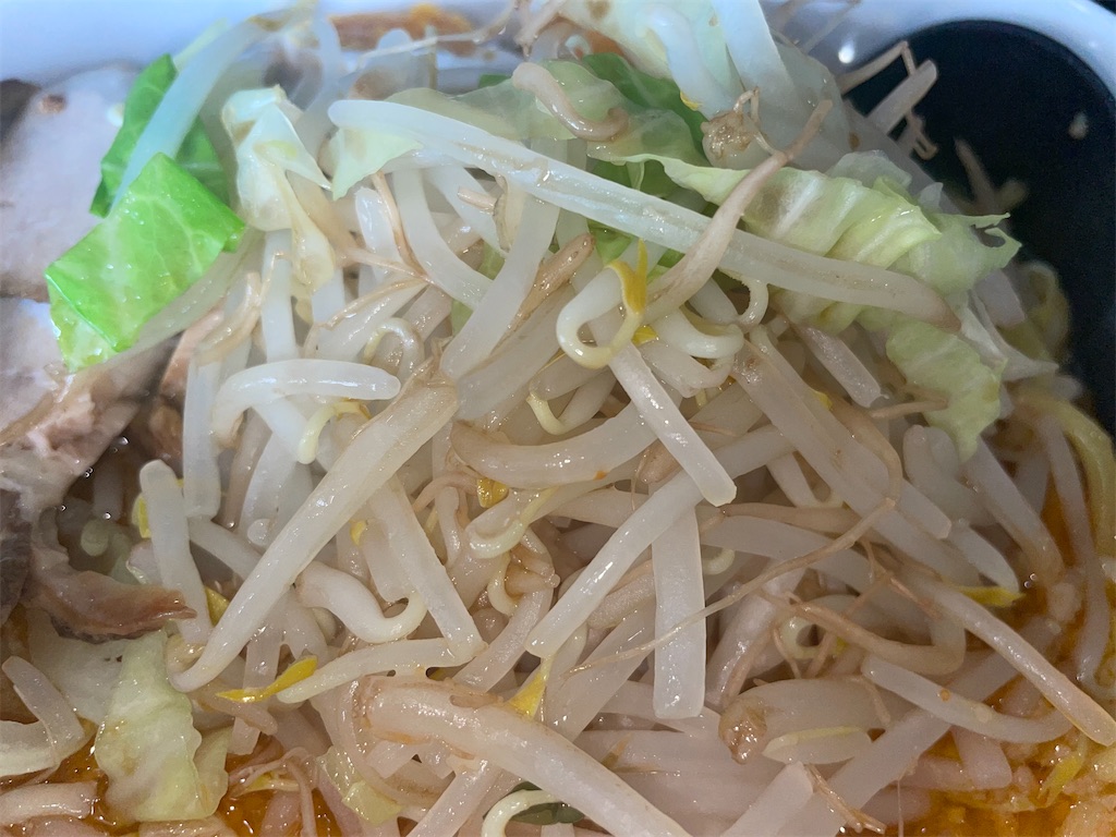 f:id:gurunaBB:20220813074922j:image