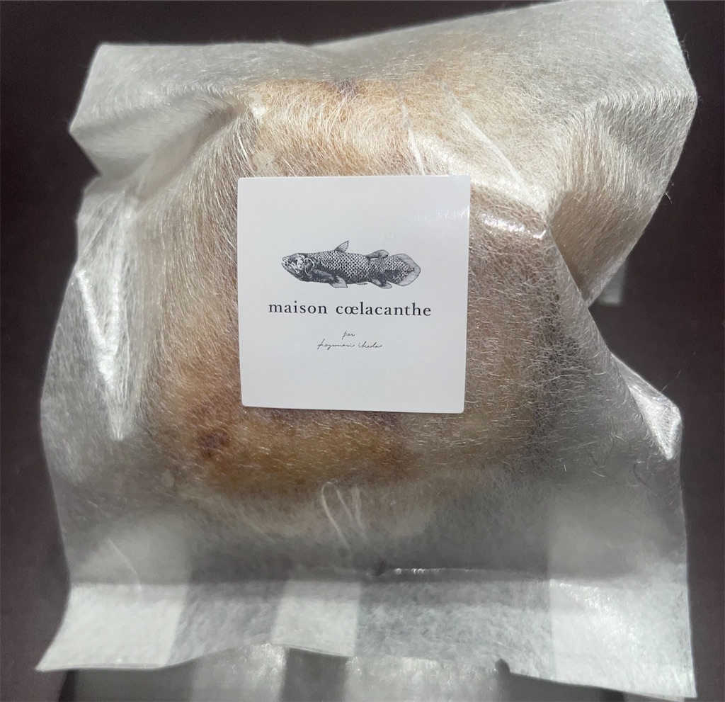 f:id:gurunaBB:20221005072207j:image