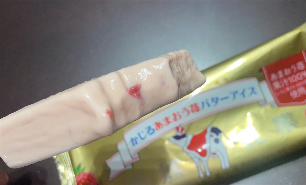 f:id:gurunaBB:20221208071459j:image