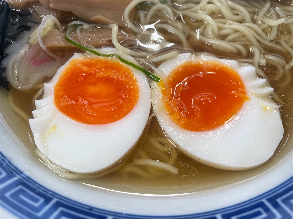 f:id:gurunaBB:20230325074433j:image