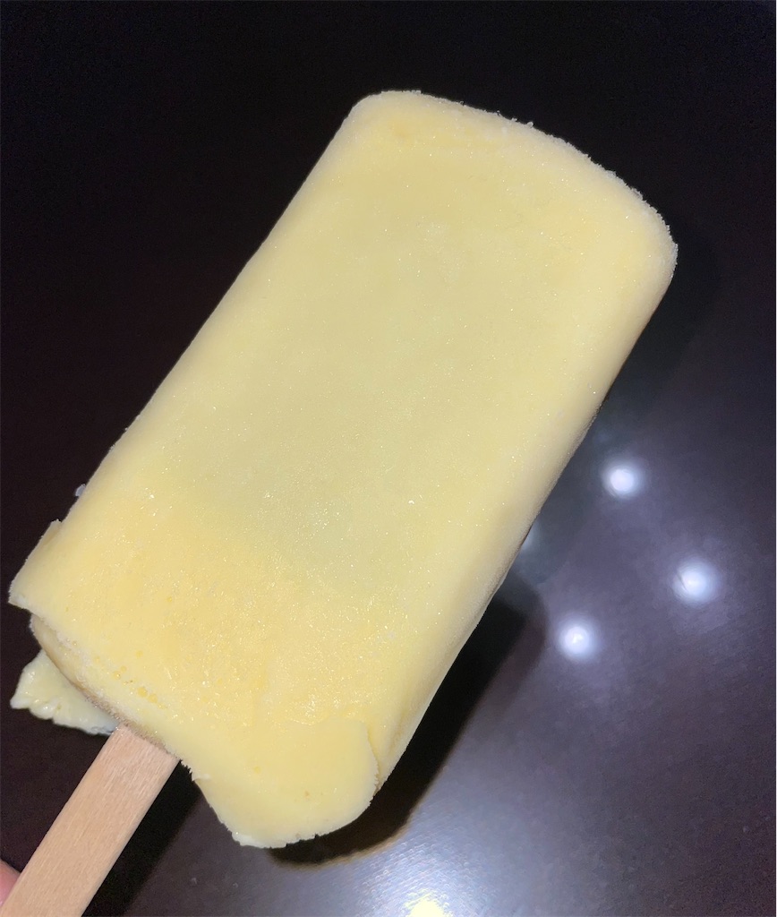 f:id:gurunaBB:20230621072753j:image