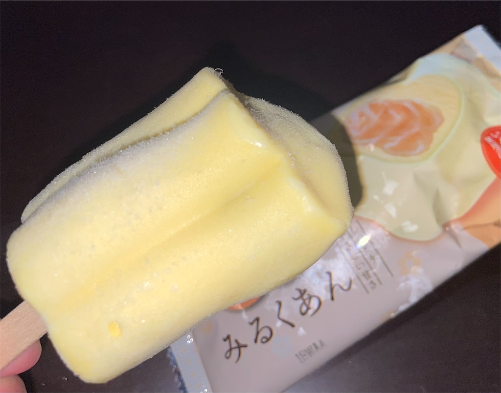 f:id:gurunaBB:20230622072608j:image