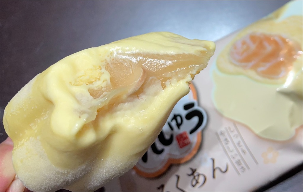 f:id:gurunaBB:20230622072627j:image