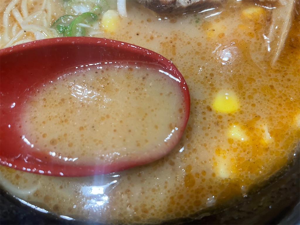 f:id:gurunaBB:20230725073505j:image
