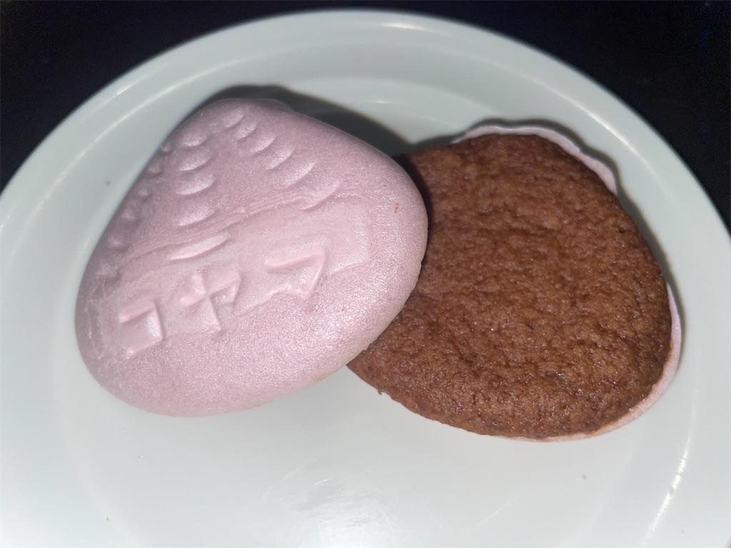 f:id:gurunaBB:20230813082029j:image