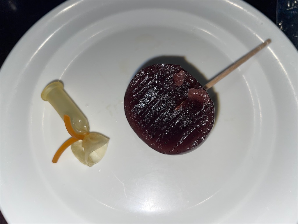 f:id:gurunaBB:20230824082055j:image