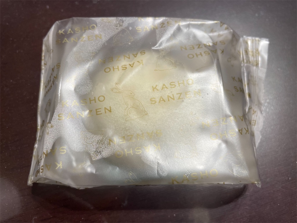 f:id:gurunaBB:20230911073530j:image