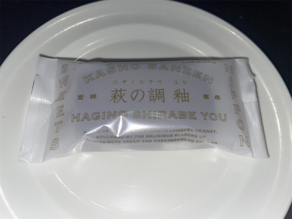 f:id:gurunaBB:20231029074849j:image