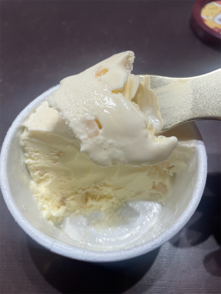 f:id:gurunaBB:20231113064502j:image