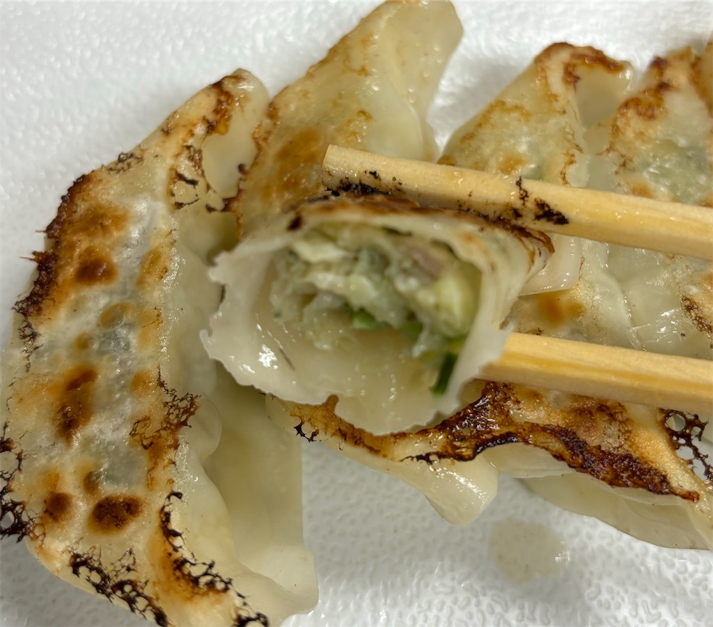 f:id:gurunaBB:20231120072236j:image