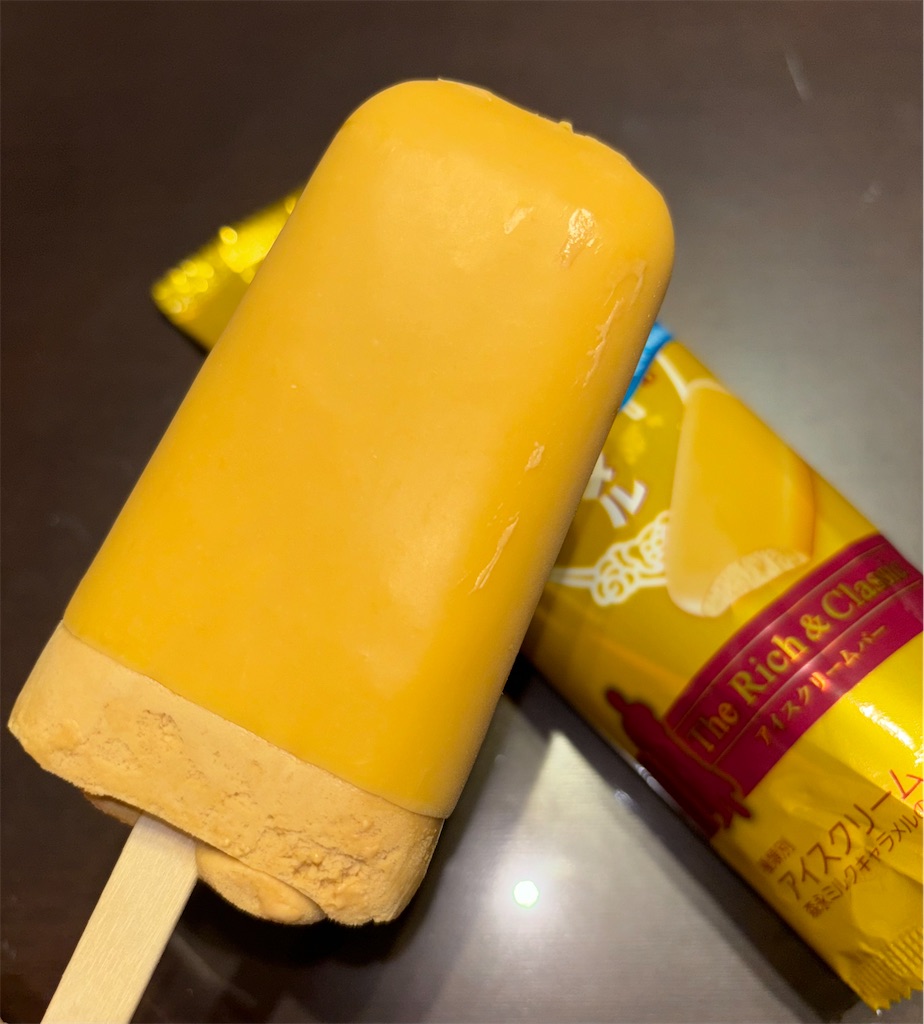 f:id:gurunaBB:20231213073210j:image