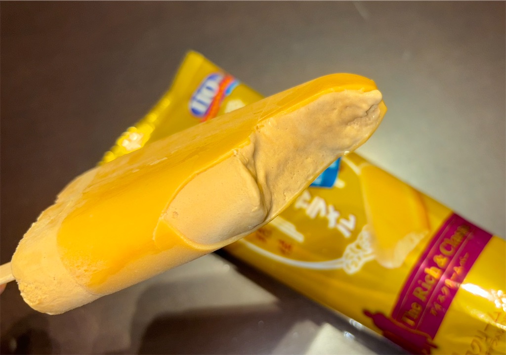 f:id:gurunaBB:20231213073224j:image