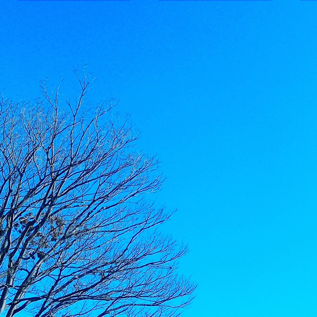 f:id:gushax2:20161217153021j:plain f:id:gushax2:20161217153021j:plain