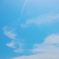 五月空