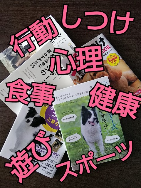 f:id:gussan-belle:20180803061419j:image f:id:gussan-belle:20180803061419j:image