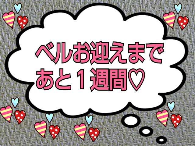 f:id:gussan-belle:20180808084010j:image