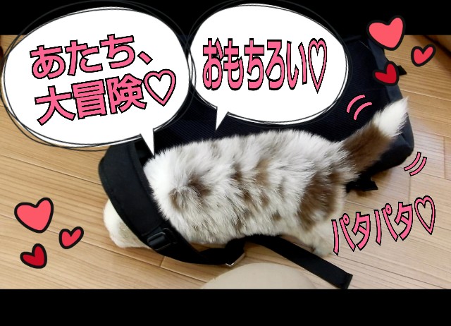 f:id:gussan-belle:20180811005449j:image