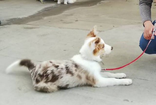 f:id:gussan-belle:20181027202516j:image f:id:gussan-belle:20181027202516j:image