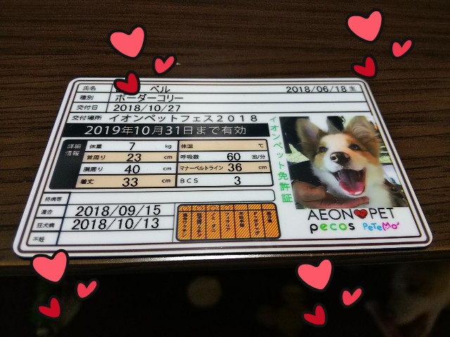 f:id:gussan-belle:20181027202618j:image f:id:gussan-belle:20181027202618j:image