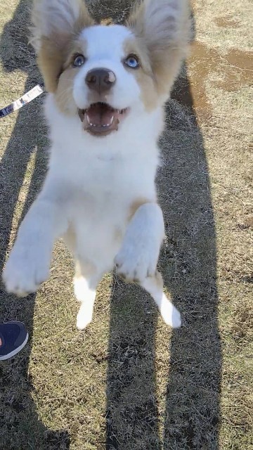 f:id:gussan-belle:20181027202750j:image f:id:gussan-belle:20181027202750j:image