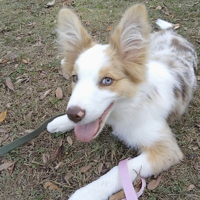 f:id:gussan-belle:20181103223511j:image f:id:gussan-belle:20181103223511j:image