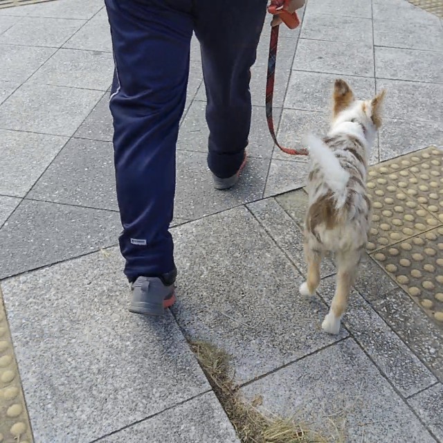 f:id:gussan-belle:20181103224430j:image f:id:gussan-belle:20181103224430j:image