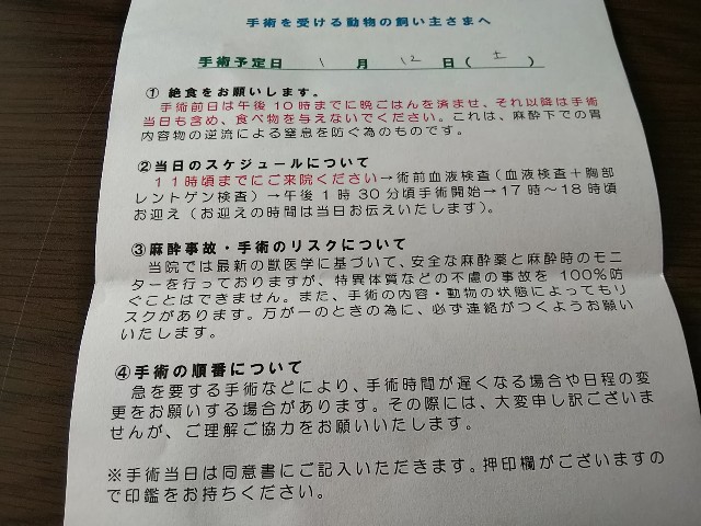 f:id:gussan-belle:20181112090048j:image