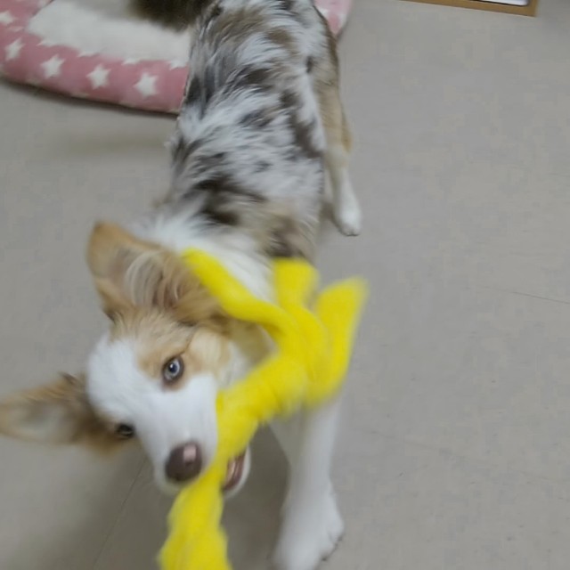 f:id:gussan-belle:20181130140153j:image f:id:gussan-belle:20181130140153j:image