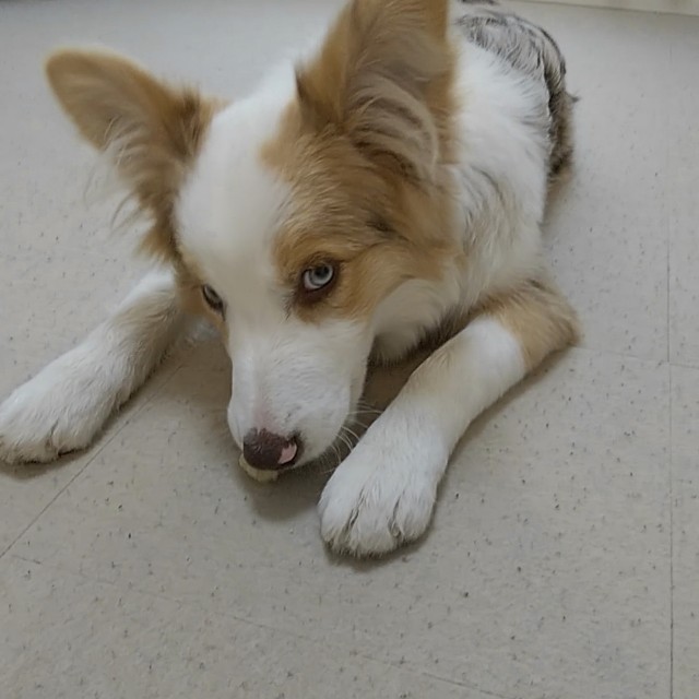 f:id:gussan-belle:20181230134427j:image f:id:gussan-belle:20181230134427j:image