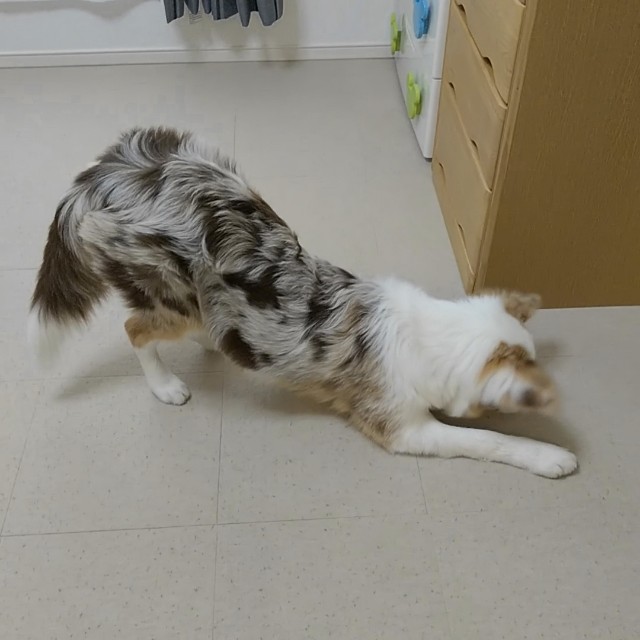 f:id:gussan-belle:20181230134450j:image f:id:gussan-belle:20181230134450j:image