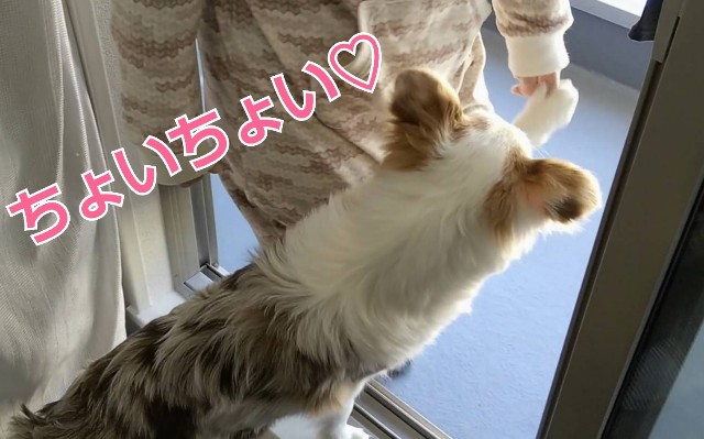 f:id:gussan-belle:20190105155355j:image