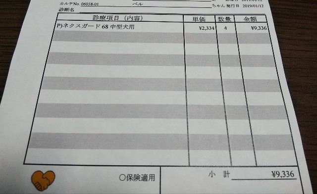 f:id:gussan-belle:20190112224452j:image