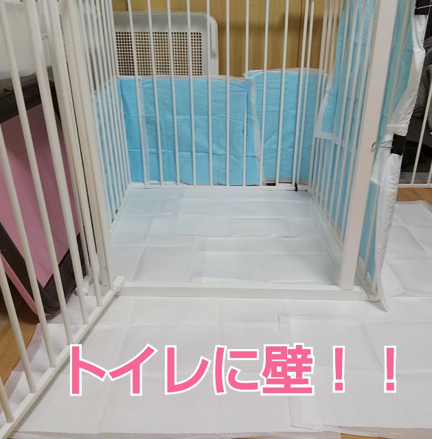 f:id:gussan-belle:20190121181025j:image