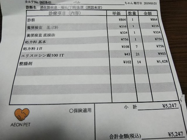 f:id:gussan-belle:20190121181107j:image