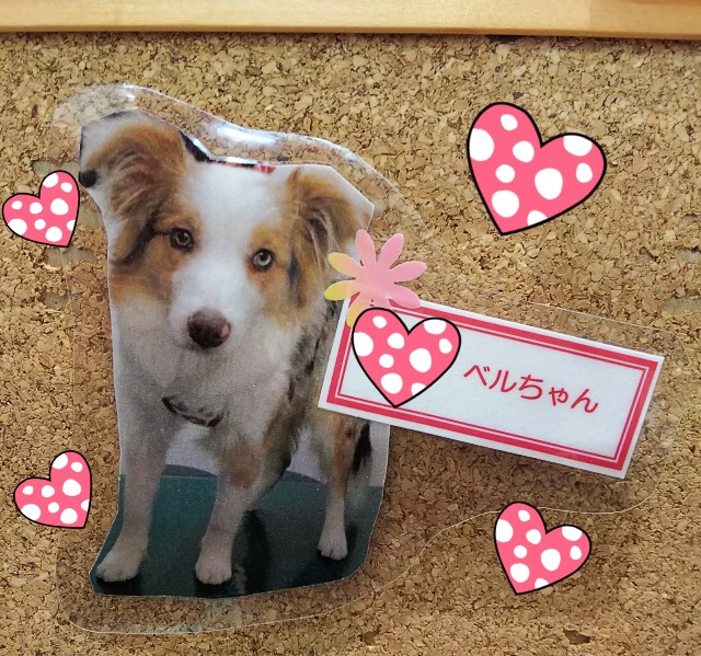 f:id:gussan-belle:20190130080502j:image f:id:gussan-belle:20190130080502j:image