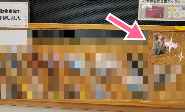 f:id:gussan-belle:20190130081040j:image f:id:gussan-belle:20190130081040j:image