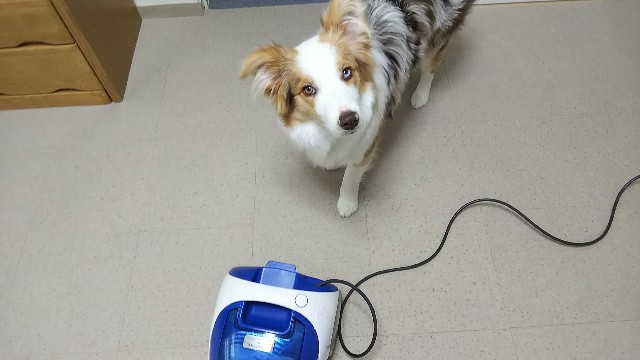 f:id:gussan-belle:20190131122607j:image f:id:gussan-belle:20190131122607j:image