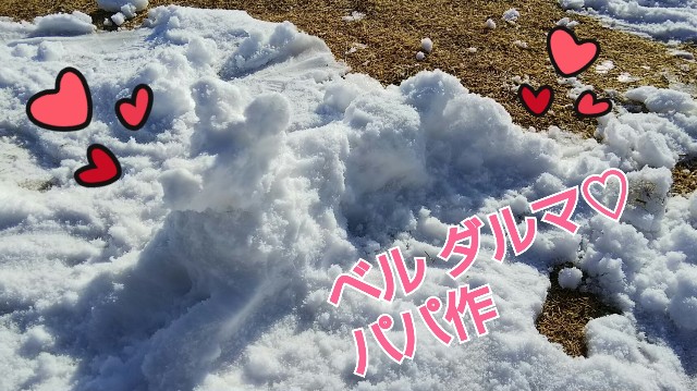 f:id:gussan-belle:20190210115540j:image