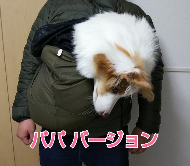 f:id:gussan-belle:20190214125328j:image f:id:gussan-belle:20190214125328j:image