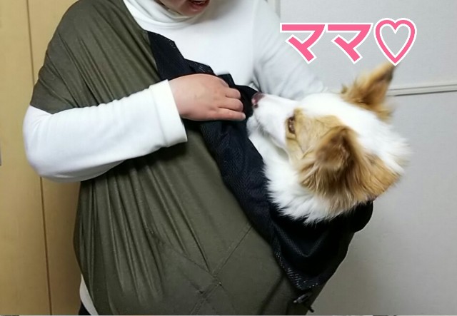 f:id:gussan-belle:20190214125412j:image f:id:gussan-belle:20190214125412j:image